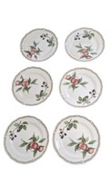 Noritake Royal Orchard Primachina Salad Dinner Plates #9416 Fruit Set Lot Of 6 - £93.86 GBP