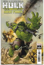 Immortal Hulk Great Power #1 Fiumara Var (Marvel 2020) - £4.55 GBP