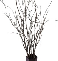 Feilix 5Pcs Artificial Curly Willow Branches, Decorative Dry Twigs, 30.7 Inches - £31.09 GBP