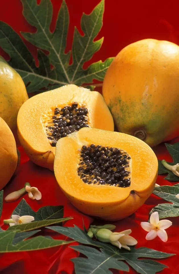25 Solo Sunset Papaya Seeds – Fruits in 9 Months at Few Feet Tall - $13.82 CAD