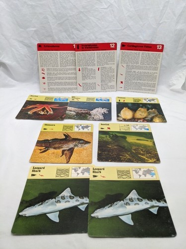 Lot Of (7) 1975 Rencontre Echinoderms Invertebrates Cartilaginous Edu Cards - $12.38