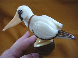 (TNE-BIR-BL-328-B) Blue footed booby bird TAGUA NUT palm figurine carving birds - £28.81 GBP