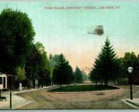 Park Luogo Castagna Street Libano Pennsylvania Pa 1908 DB Cartolina C14 - $4.04