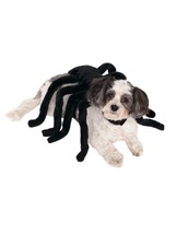 Rubies Pet Spider Harness Costume, Medium - £87.96 GBP