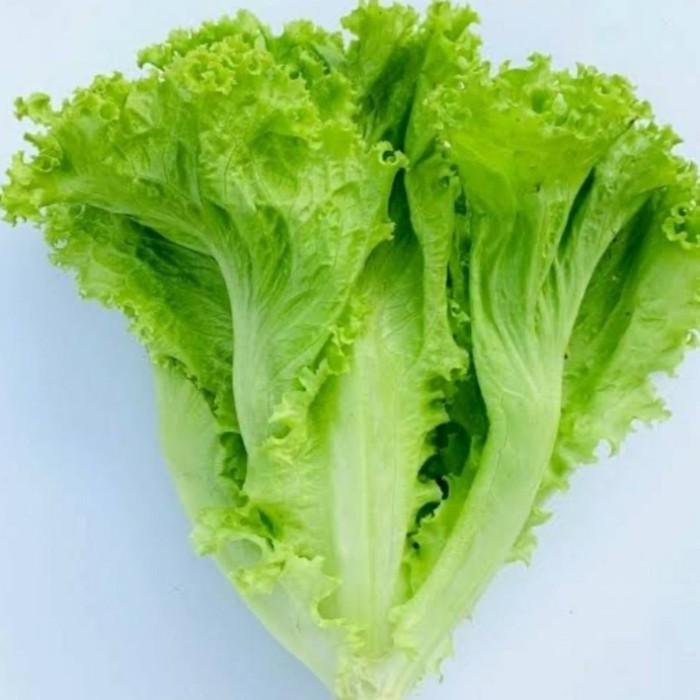 Daun Selada - Lactuca Sativa (Dried), 80 Gram