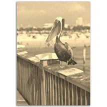 Vintage Clearwater Florida Poster Pelican Print | Retro Clearwater Beach Sepia P - $19.99