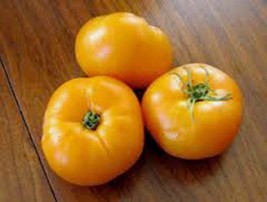 Tomato Seed, Jubilee Tomato, Heirloom, Organic 500 Seeds, Non Gmo, Vegetable - £7.13 GBP