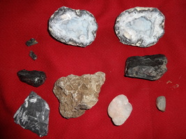 Kid&#39;s Rock Collection Geodes / Fossils / Shark Tooth - £2,179.84 GBP