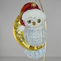 Christopher Radko Glass Owl On Moon Christmas Ornament Hooo Knew - $249.00