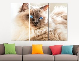 Blue Eyed Cat Canvas Print Cat Wall Art Cat Eyes Poster Cat Lover Gift Home Deco - £39.50 GBP