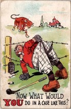 Golf Humor Man Caught in Barbed Wire What Would You Do 1910 Postcard Z12 - £6.38 GBP