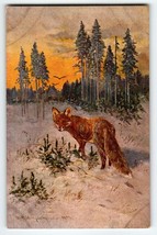 Red Fox Rustic Postcard Signed M Muller Deep Woods Wildlife Series 585 Germany - £14.98 GBP