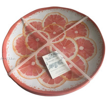 Grapefruit Melamine 11&quot; Dinner Plates Set of 4 Cottage Shabby Indoor Outdoor - £34.84 GBP