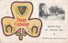 Buan CARAOAR-GAELIC Forever FRIEND-WISHING You PROSPERITY~1905 Ireland Postcard - £14.65 GBP