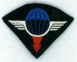France, Para Wing, Parachutist, Airborne, Aerial Delivery Group - £5.85 GBP