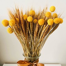 100pcs Dried Wheat Grass Decor 15 Stems Yellow Billy Balls Buttons Dried... - $33.80