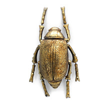 10 Inch Resin Gold Beetle Painted Sculpture Wall Art Home Decor Hanging Statue - £38.99 GBP