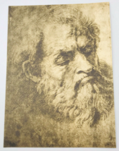 Vintage Raphael Raffaello Sanzio Head of an Old Man Fratelli Alinari Print Italy - £28.40 GBP
