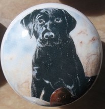 Cabinet Knobs W/ Labrador Retriever Puppy DOG blk - £4.27 GBP