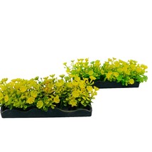 Penn Plax Aquarium Plant Small 4.5&quot; Long by 2&quot; Tall Yellow Bunch Plant (2 pack) - £5.83 GBP