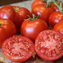 25 Tomato Seeds Better Boy Plus Slicing Tomatoes Vegetable Seeds Fresh Garden - $15.09