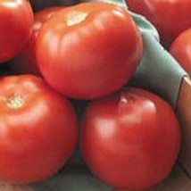 Best SELLER USA 10 Seeds Florida 47 Tomato Seeds - $5.60