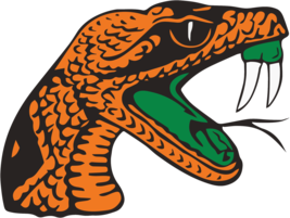 Florida A&amp;M Rattlers NCAA Football Vinyl Decal for Car Truck Window Laptop - $2.94+