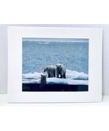 Polar Bears Photographed In The Wild By Arctic Photo Safari Photographer... - £10.35 GBP