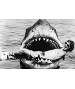 Jaws 24x36 inch poster Steven Spielberg in shark&#39;s mouth - $560.63 MXN