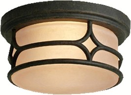 Kichler Lighting 9867AGZChicago 2-Light Indoor/Outdoor Flush Mount Ceili... - $162.36