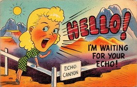 Hello! I&#39;m Waiting for Your Echo! Postcard PC162 - £3.73 GBP