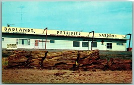 Badlands Petrified Gardens Building South Dakota SD UNP Chrome Postcard I3 - £7.35 GBP