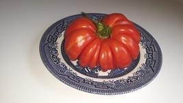 40 Mushroom Basket Tomato Non GMO Heirloom Bulk Seeds - $196.16 MXN