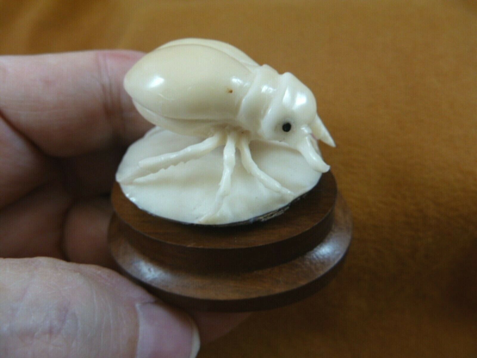 (tb-ins-10-2) Rhinoceros beetle Tagua NUT figurine Bali detailed insect ... - $43.47
