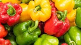 Colorful bell pepper mix seeds heirloom - 50 seeds - code 014 - £4.00 GBP