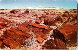 Petrified Forest of Arizona Kodachrome Postcard  - £5.17 GBP