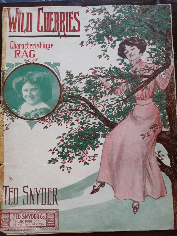 Wild Cherries Characteristique Rag Antique 1908 Sheet Music Ted Snyder - $59.28