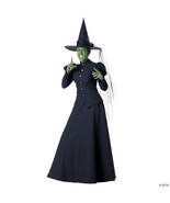 Wicked witch adult women 4-6 - €114,71 EUR