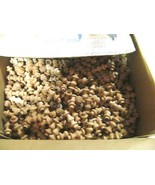 WHOLESALE: NEW UNFINISHED CHERRY SPINDLE 2&quot; LONG WITH 3/8&quot; TENON 100 PIE... - $47.32 CAD