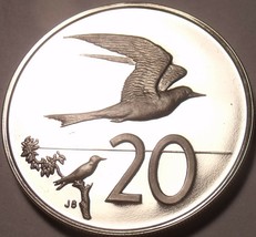 Cook Inseln 20 Cent, 1974 Cameo Beweis ~ 7,300 Minted ~ Fairy Tern - £7.27 GBP
