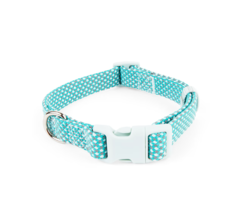 YOULY The Protector Teal Reflective Dog Collar, Small - $11.87