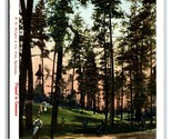 View In Natatorium Park Spokane WA Washington UDB Postcard V18 - $5.89