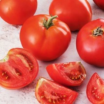 FRESH Creole Tomato Seeds | 1124 - £4.73 GBP