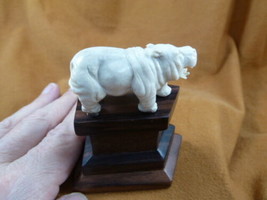 hippo-16) baby Hippo of shed ANTLER figurine Bali detailed carving love ... - $51.19