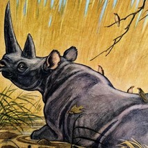Rhinoceros 1954 Art Print Paul Bransom Marlin Perkins Zooparade DWDD3 - £31.51 GBP