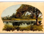 Cushing&#39;s Pond Rockland Massachusetts MA 1911 DB Postcard U1 - $4.90