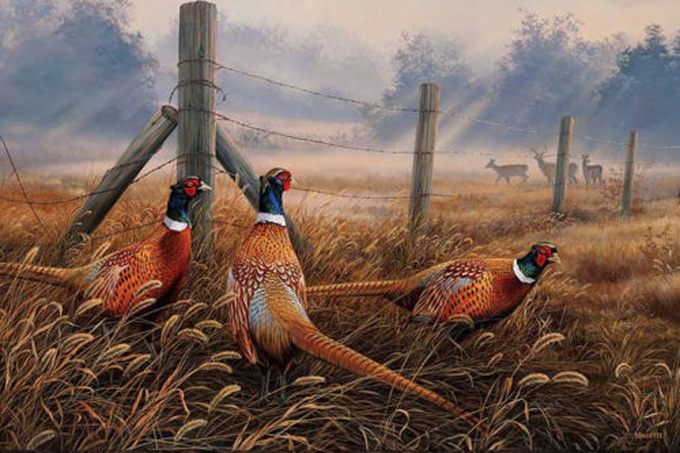 Meadow Mist Pheasants Cross Stitch Pattern***LOOK*** - $2.95