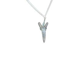 TIGER SHARK TOOTH FOSSIL PENDANT W/ STERLING SILVER CHAIN NECKLACE - $219.71 MXN