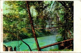 Vtg Postcard 1906 Swinging Bridge Big Tree Grove Santa Cruz, CA Undiv - £4.87 GBP