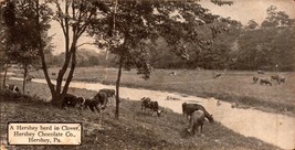 Vintage Postcard - A Hershey Herd In Clover,Hershey Chocolate Co.,Pa - £3.89 GBP
